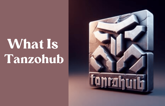 tanzohub