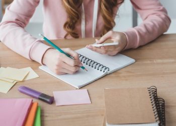 Guidelines for writing your term paper