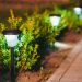 Illuminating Sustainability: The Bright Benefits of Outdoor Solar Lights