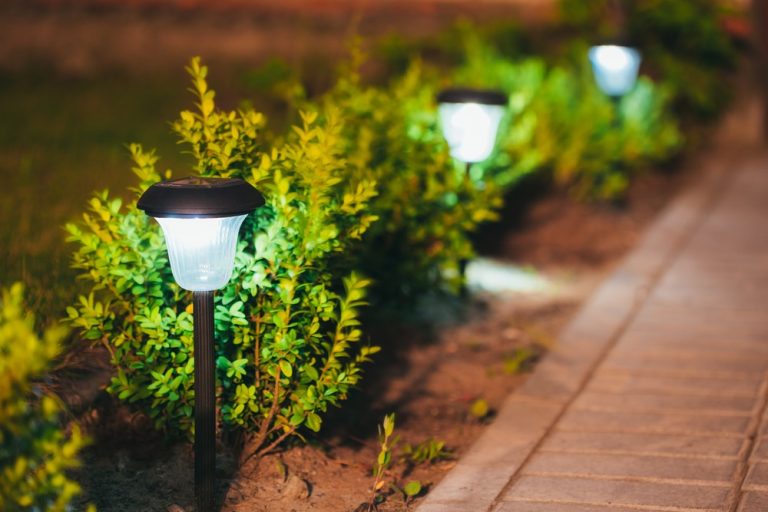 Illuminating Sustainability: The Bright Benefits of Outdoor Solar Lights