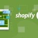 Shopify App Development